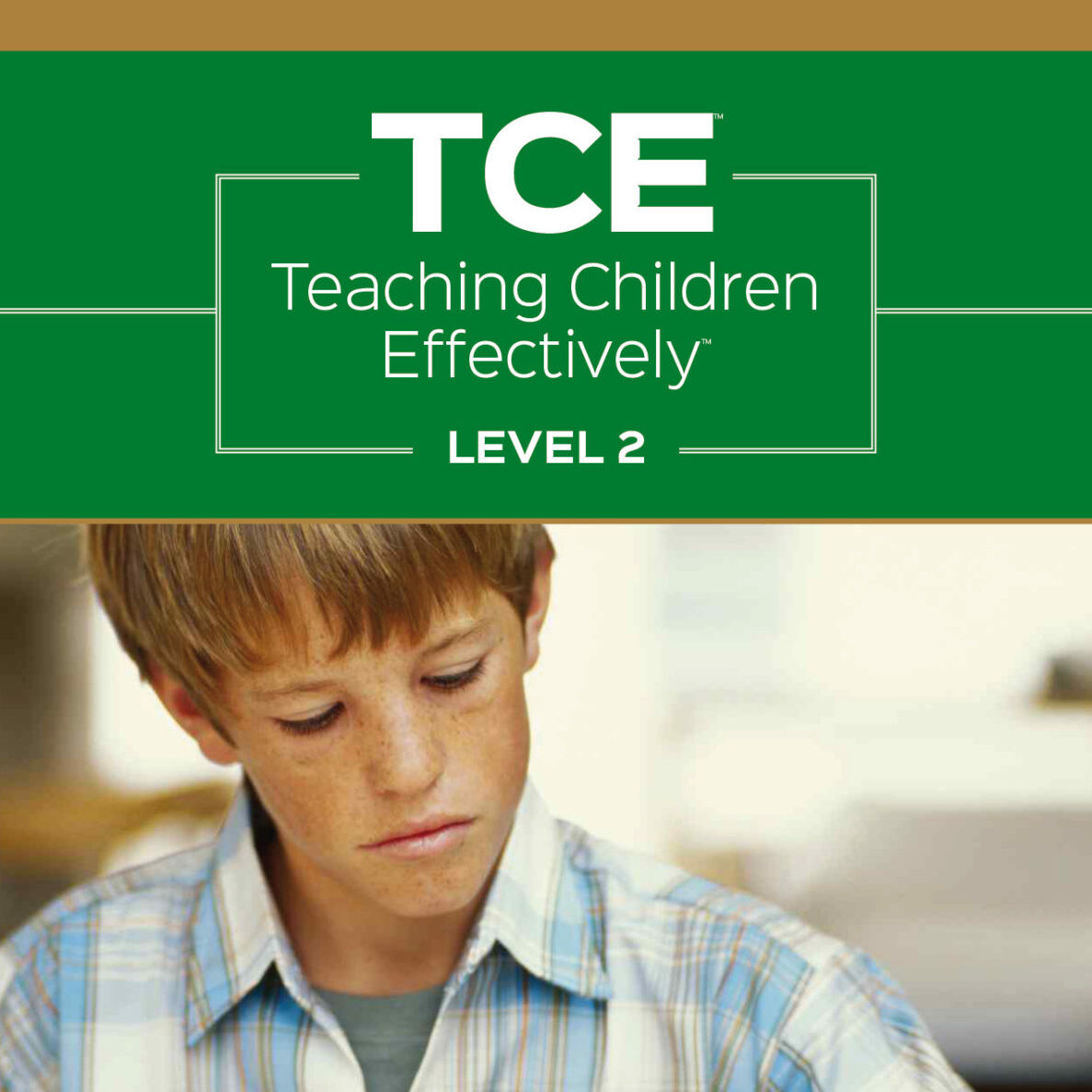 Teaching Children Effectively Level 2 - logo